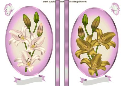Lillies in Cream and Gold in Pink Oval Frame Toppers