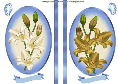 Lillies in Cream and Gold in Sky Oval Frame Toppers