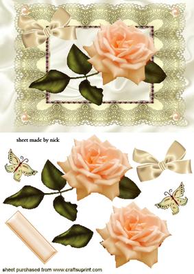 Peach Rose on Vintage Lace with Peach Pearls