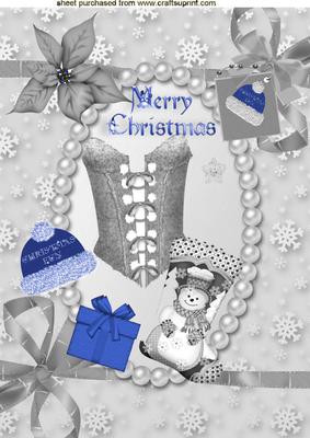 Ladies Silver Basque with Blue Santa Hat & Stocking A4