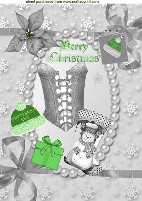 Ladies Silver Basque with Green Santa Hat & Stocking A4