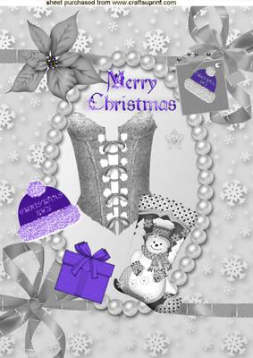 Ladies Silver Basque with Purple Santa Hat & Stocking A4