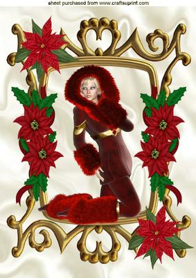 Wrapped for Winter in Fur and Poinsettia Frame A4