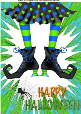 Pair of Witches Legs & Spider in a Web, A4
