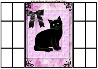 Lucky Black Cat in Pink Star Frame, French Gatefold