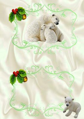 Cuddly Family of Polar Bears A5, Insert