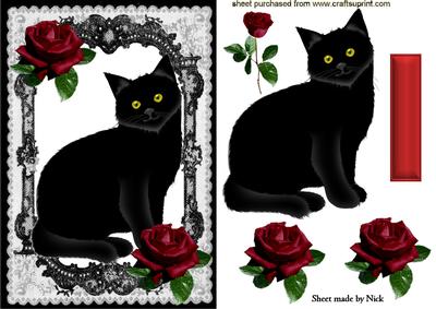 Black Cat in Lace Frame with Red Roses