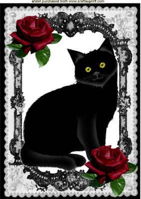 Black Cat in Black Cat in Lace Frame with Red Roses A4