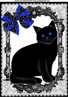 Black Cat with Bright Blue Eyes, with Star Bow A4