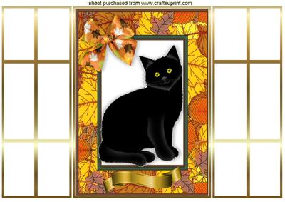 Black Cat in Autumn Leaf Frame, French Gatefold