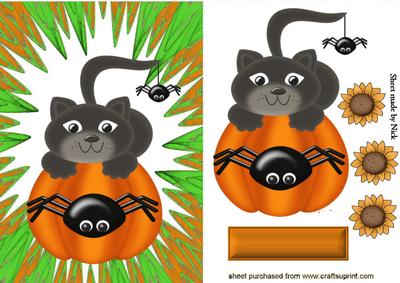 Pussy Cat on a Pumpkin in Abstract Frame