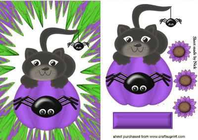 Pussy Cat on a Pumpkin, in Purple Abstract Frame