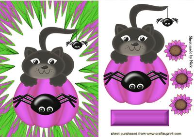 Pussy Cat on a Pumpkin in Pink Abstract Frame