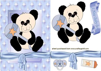 Cute Black/white Panda Bear for Baby Boy in Star Frame