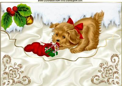 Little Brown Puppy with Snow on Scalloped Envelope A4