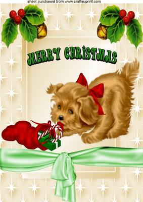 Cute Little Puppy Playing with Christmas Stocking A4