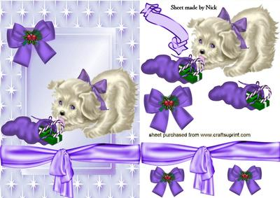 Little White Puppy in Purple Star Frame
