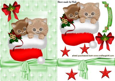 Cute Pair of Kitties in Santa Hat in Star Frame