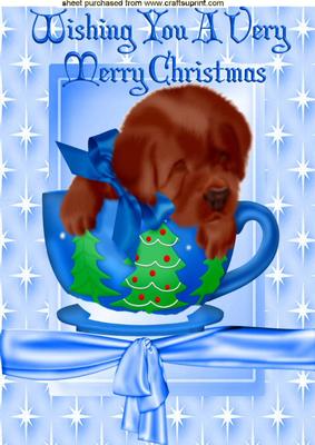 Cute Little Brown Puppy in Christmas Tree Teacup A4