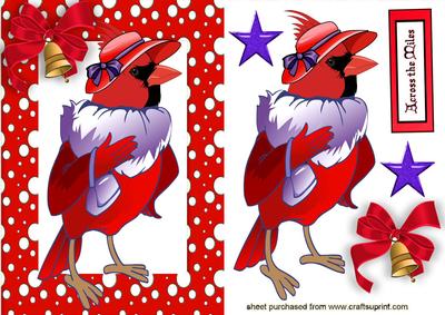 Across the Miles, Red Hat Robin in Snow Frame