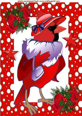 Christmas Red Hat Robin in Snow Frame A4