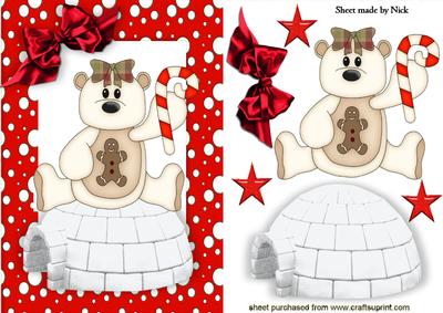 White Bear Sitting on a Igloo in Snow Frame