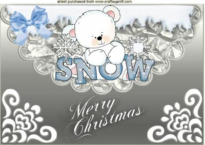 Little Baby White Polar Bear on Silver Scalloped Envelope A4