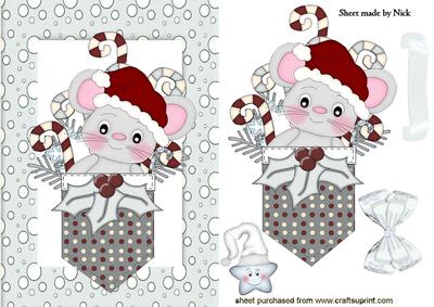 Pocket Mouse with Cheeky Star in White Snow Frame