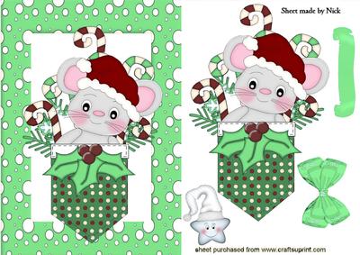 Pocket Mouse with Cheeky Star in Green Snow Frame