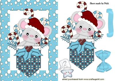 Pocket Mouse with Cheeky Star in Turq Snow Frame