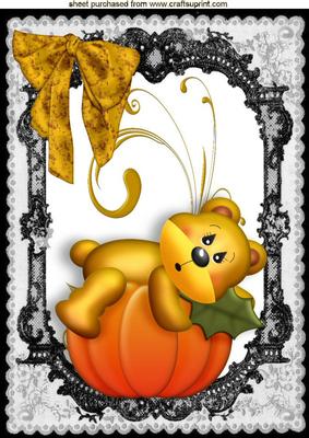 Cute Sleeping Bear on Pumpkin in Lace Frame A4