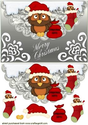 Little Owl with Santa Hat on and Christmas Stocking