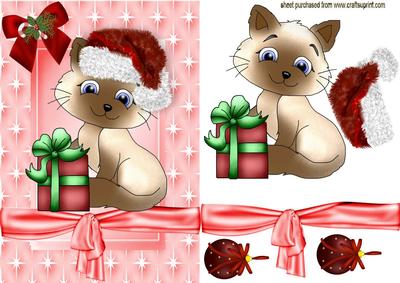 Cute Cat with Fur Santa Hat On
