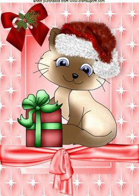 Cute Cat with Fur Santa Hat on A4