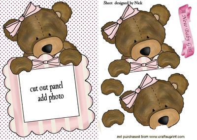Cute Little Girl Teddy Frame