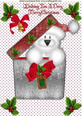 White Fluffy Puppy with Santa Hat in Christmas Box A4
