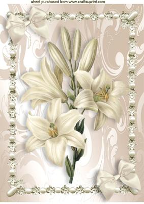 White Lillies in Pearl Frame with Bow A4
