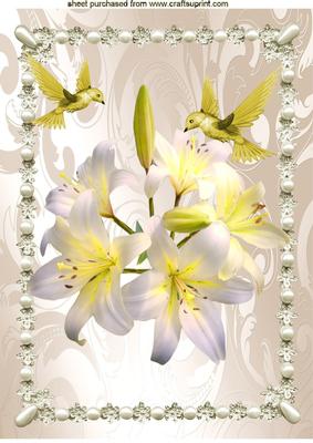 Lillies with Birds in Pearl Frame A4