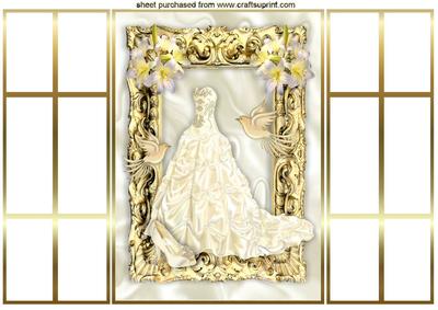 Beautiful Cream Evening Dress in Gold Frame Gatefold