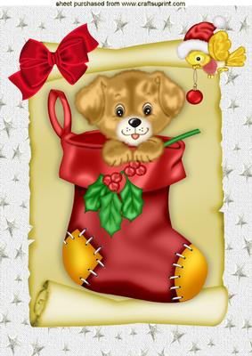 Cute Puppy in a Stocking with Little Bird A4