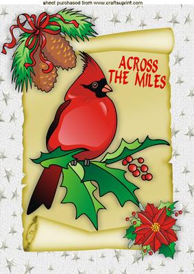 Across the Miles, Red Robin with Cones on a Scroll A4