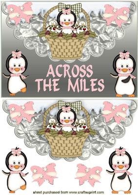Across the Miles, Penguins Galore!