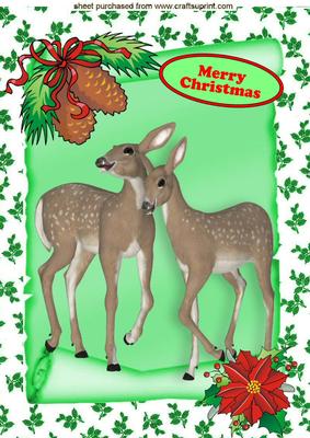 Cute Reindeers on a Scroll, A4