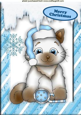 Cute Little Kitty with Hat on and Snow A4