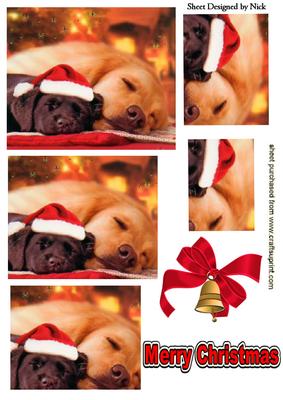 Cute Pair of Sleeping Puppies Pyramids