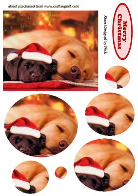 Cute Pair of Sleeping Puppies, Oval Pyramids