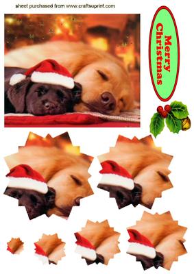 Cute Pair of Sleeping Puppies, Star Pyramids