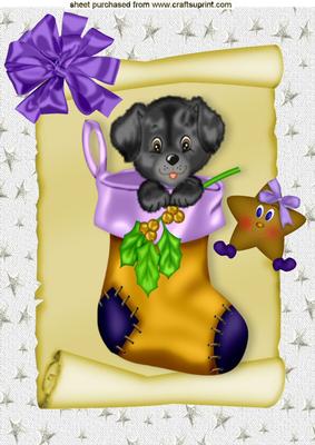 Cute Little Puppy in Stocking with Cheeky Star A4