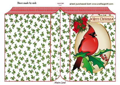Lovely Red Cardinal in Oval Frame Book Fold