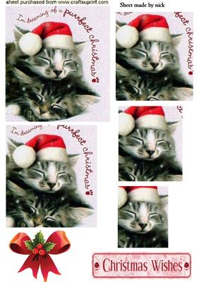 Cute Kitties Sleeping with Santa Hat on Pyramids
